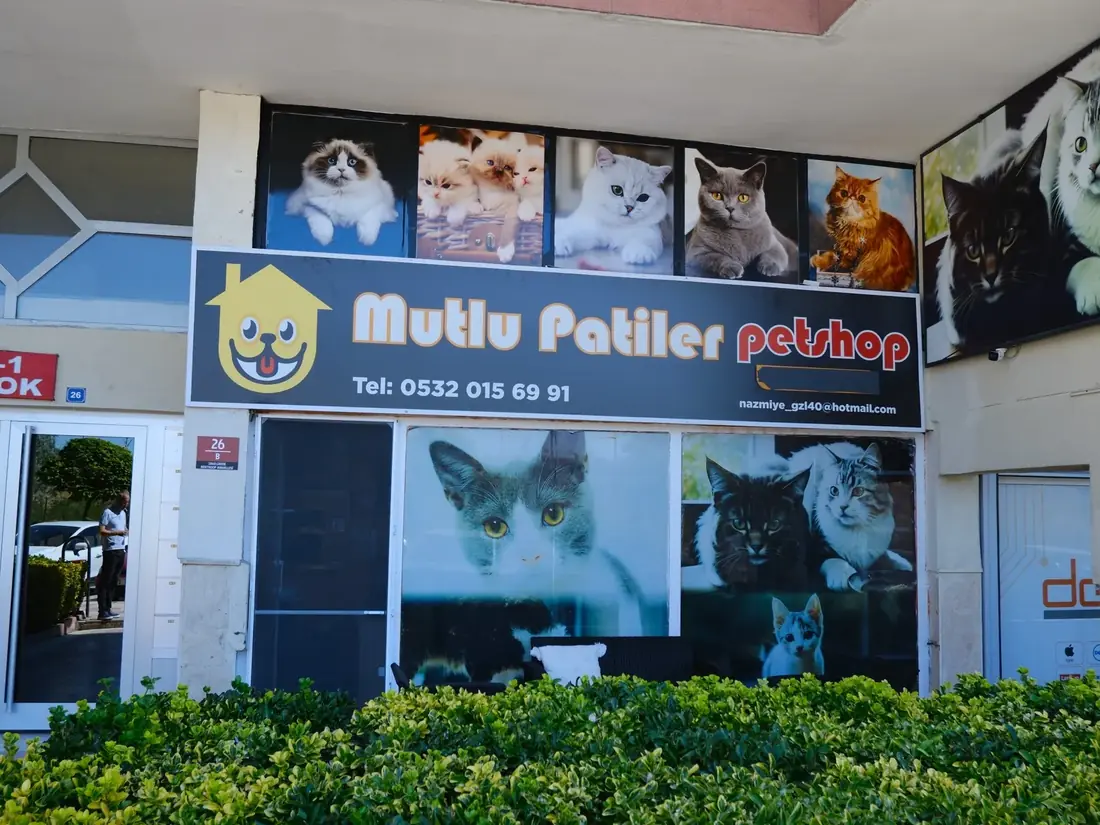 Mutlu Patiler Kedi Oteli dış cephe