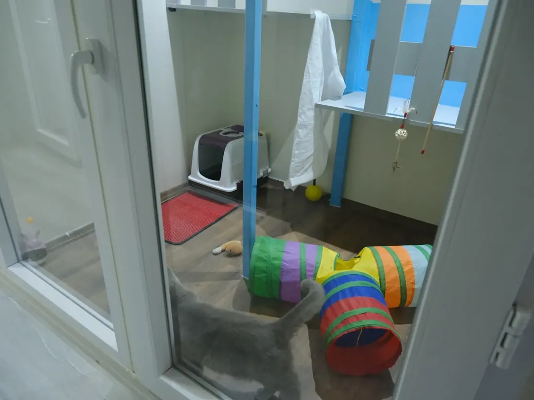 Kedi odalarımızdan biri