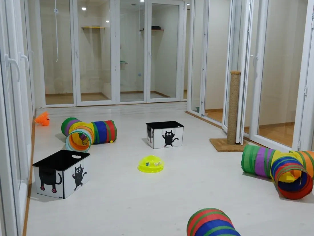 Mutlu Patiler Kedi Oteli oyun alanı
